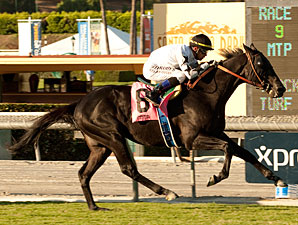 Slim Shadey Slips Away for John Henry Triumph Slim Shadey Slips Away for John Henry Triumph
