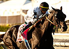 Slim Shadey Shows Up in Red Bank Stakes Slim Shadey Shows Up in Red Bank Stakes