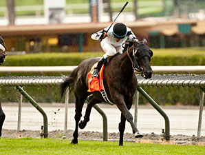 Slim Shadey Heads Acclamation's Read Rivals Slim Shadey Heads Acclamation's Read Rivals