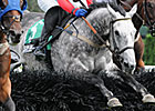 Slip Away Named Top Steeplechaser Slip Away Named Top Steeplechaser