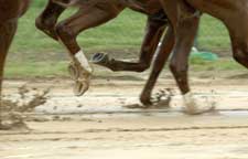 Derby Day: Chance of Off Track; Pack the Poncho Derby Day: Chance of Off Track; Pack the Poncho