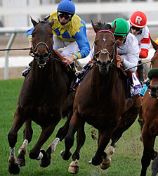Smart Bid Runs Down Mr. Vegas in FG Handicap Smart Bid Runs Down Mr. Vegas in FG Handicap