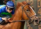 Smart Enough Seeks Third Straight in Nearctic