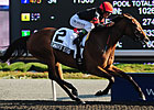 Smart Sting Sails to Easy Selene Triumph