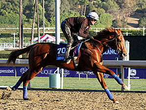 Smarty's Echo Breezes Half Mile for Lecomte Smarty's Echo Breezes Half Mile for Lecomte