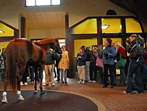 Smarty Jones Fans Bid Farewell Smarty Jones Fans Bid Farewell