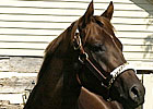 Smarty Jones Returning to Pennsylvania Smarty Jones Returning to Pennsylvania