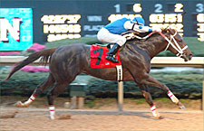 Smarty Jones Answers All in Rebel Win Smarty Jones Answers All in Rebel Win