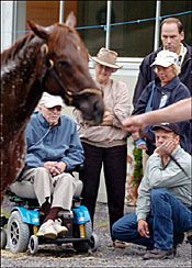 Analyzing the 3-Year-Old Scene in 2004 Analyzing the 3-Year-Old Scene in 2004