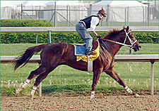 Steve Haskin's Derby Report: Smart Bomb Ready to Drop Steve Haskin's Derby Report: Smart Bomb Ready to Drop
