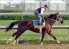 Steve Haskin's Derby Report: Ernie, Smarty, Nicky, and Jerry Steve Haskin's Derby Report: Ernie, Smarty, Nicky, and Jerry