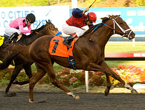 Smiling Tiger, Rosario Paired for San Carlos Smiling Tiger, Rosario Paired for San Carlos
