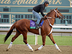 Intriguing Underwood Has Trio From BC Sprint Intriguing Underwood Has Trio From BC Sprint