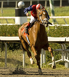 Front-Running Smiling Tiger Snags Laz Barrera Front-Running Smiling Tiger Snags Laz Barrera