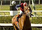 Front-Running Smiling Tiger Snags Laz Barrera