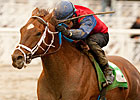 Smiling Tiger Roars From Last in San Carlos