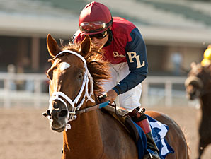 Smiling Tiger Works Toward Hollywood Return Smiling Tiger Works Toward Hollywood Return