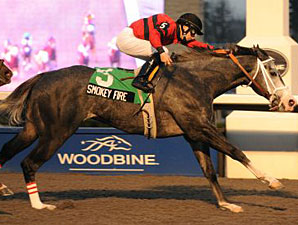 Smokey Fire Blazes to Kennedy Road Win Smokey Fire Blazes to Kennedy Road Win