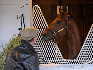 Millionaire Smooth Air Retired to Stud Millionaire Smooth Air Retired to Stud