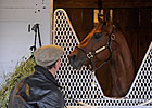 Millionaire Smooth Air Retired to Stud