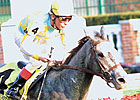 Grade II Winner Snow Dance Euthanized Grade II Winner Snow Dance Euthanized