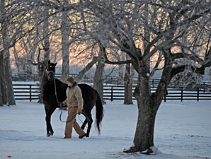 Happy Holidays from Blood-Horse Publications Happy Holidays from Blood-Horse Publications