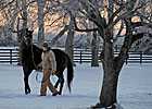 Happy Holidays from Blood-Horse Publications