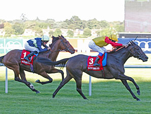 Snow Fairy Sensational in Irish Champion Snow Fairy Sensational in Irish Champion