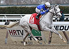 Snowbell Rings Up Comely Win in Stakes Debut Snowbell Rings Up Comely Win in Stakes Debut