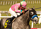 So Brilliant Wire-to-Wire in Hollywood Prevue So Brilliant Wire-to-Wire in Hollywood Prevue