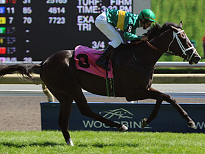 Casse Tries to Double Up in Dominion Day