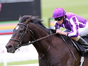 So You Think Cruises in Tattersalls Gold Cup So You Think Cruises in Tattersalls Gold Cup