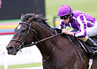So You Think Cruises in Tattersalls Gold Cup