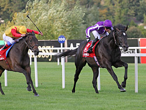 So You Think Impressive in Irish Champion So You Think Impressive in Irish Champion