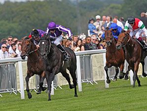 So You Think Atones in Prince of Wales's So You Think Atones in Prince of Wales's