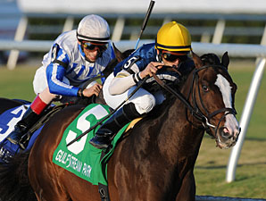 Soaring Empire Likely for Donn After 5F Drill Soaring Empire Likely for Donn After 5F Drill