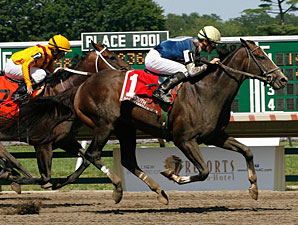Graded Winner Soaring Empire Retired Graded Winner Soaring Empire Retired