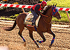 Social Inclusion, Bayern Prep for Preakness Social Inclusion, Bayern Prep for Preakness