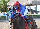 Social Inclusion On Derby Path After Big Win Social Inclusion On Derby Path After Big Win