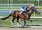 Social Inclusion Spoils Honor Code's Return Social Inclusion Spoils Honor Code's Return