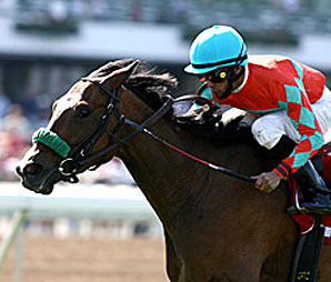 Three Fillies Meet Again in Eatontown Three Fillies Meet Again in Eatontown