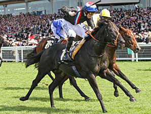'Society' Rocks Golden Jubilee Field at 25-1 'Society' Rocks Golden Jubilee Field at 25-1