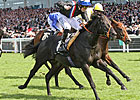 'Society' Rocks Golden Jubilee Field at 25-1 'Society' Rocks Golden Jubilee Field at 25-1