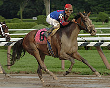 Giant Killer Jerkens Slays Another One; Society Selection Wins Alabama Giant Killer Jerkens Slays Another One; Society Selection Wins Alabama