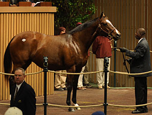 Society Selection Sells for $1.85 Million Society Selection Sells for $1.85 Million