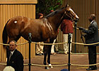 Gross, Average Rise in Keeneland Opener