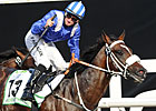 Soft Falling Rain Storms to Godolphin Mile Soft Falling Rain Storms to Godolphin Mile
