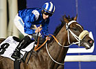 Major Test Awaits Soft Falling Rain at Meydan Major Test Awaits Soft Falling Rain at Meydan