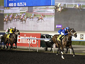 Soft Falling Rain Dominates Meydan Trial Soft Falling Rain Dominates Meydan Trial