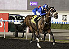 Soft Falling Rain Dominates Meydan Trial Soft Falling Rain Dominates Meydan Trial